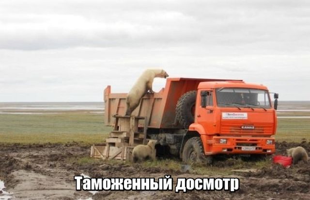 безымянный.jpg