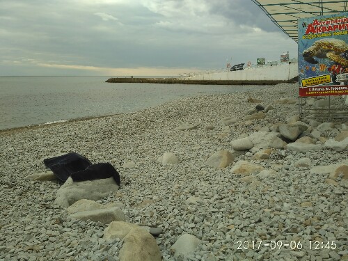 PicsArt_09-07-07.55.24.jpg